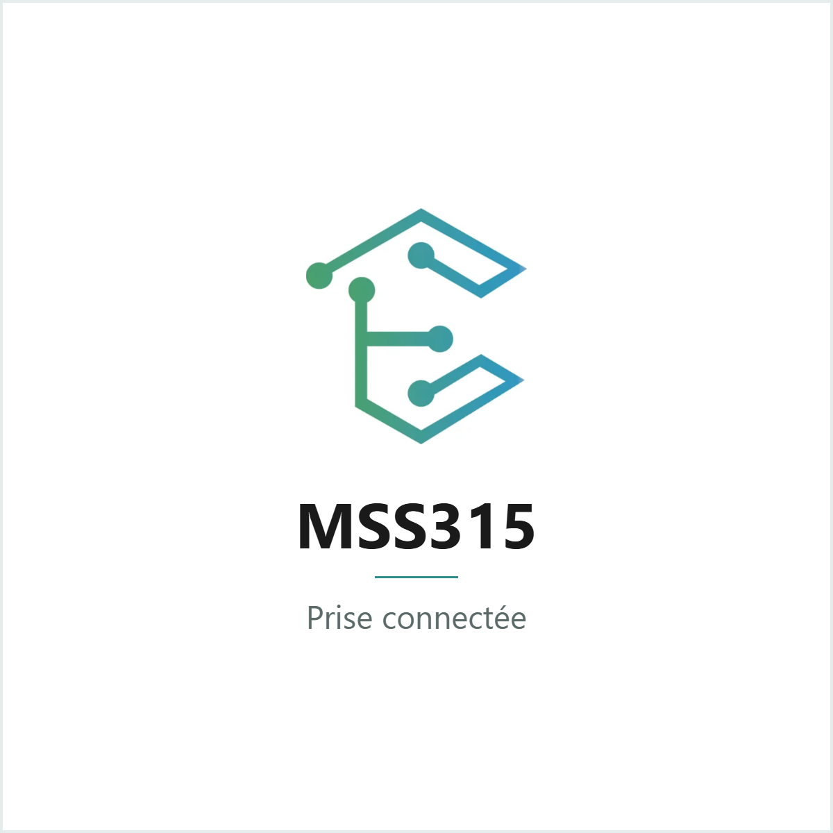 Prise connectée Meross MSS315 — Dari Connect